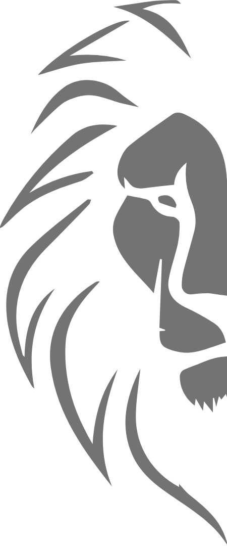 Logo BRACCO